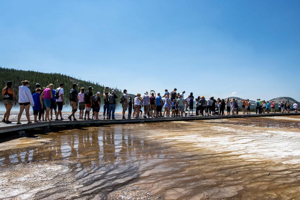 Countrywide parks are booming. Which will properly harm your subsequent trip