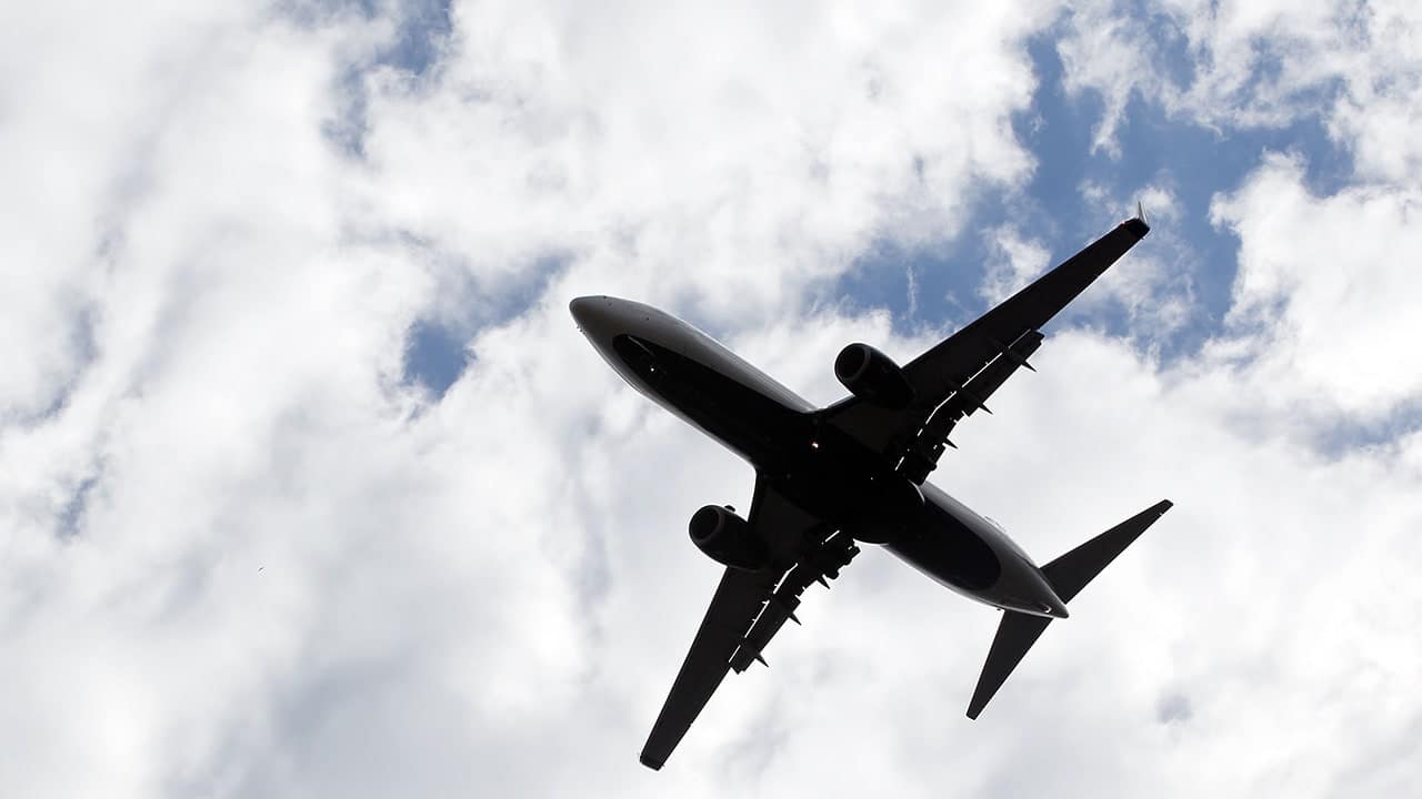 The place by are folks touring this summer season months? Google Traits offers clues