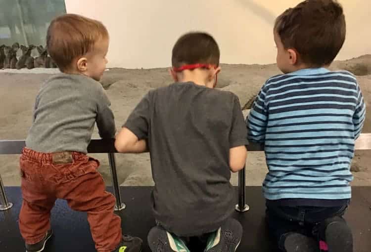 Visiting the American Museum of Natural History with Kids