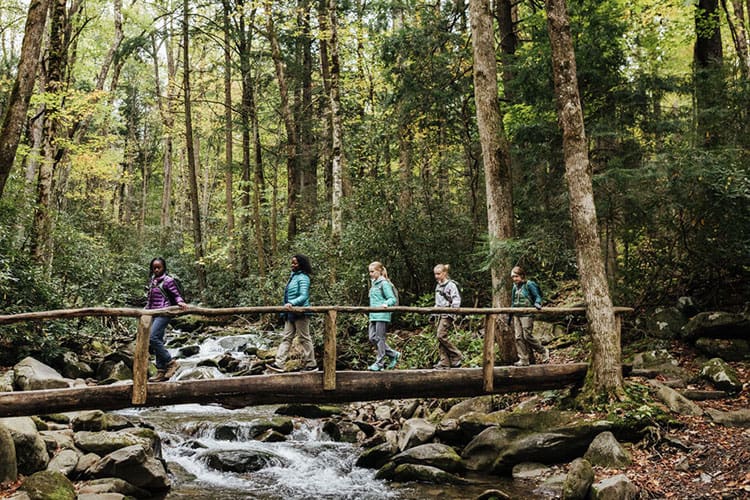 Greatest Household Mountain Holidays in North Carolina