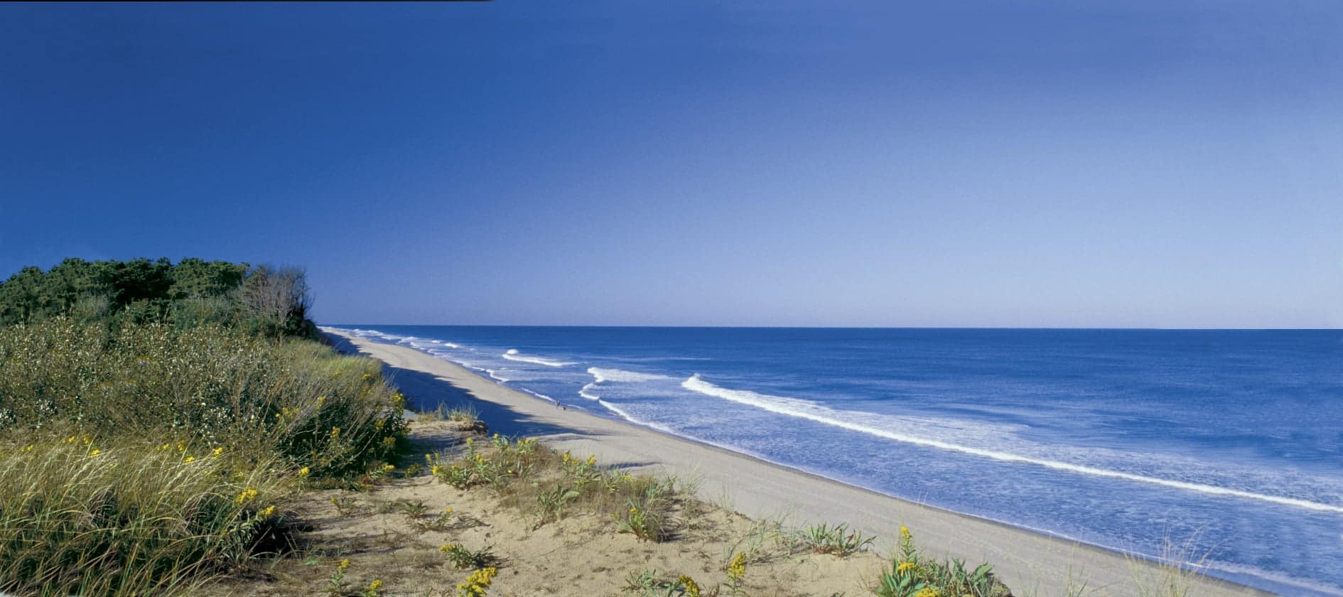 What to find out about touring to Cape Cod this summer time months