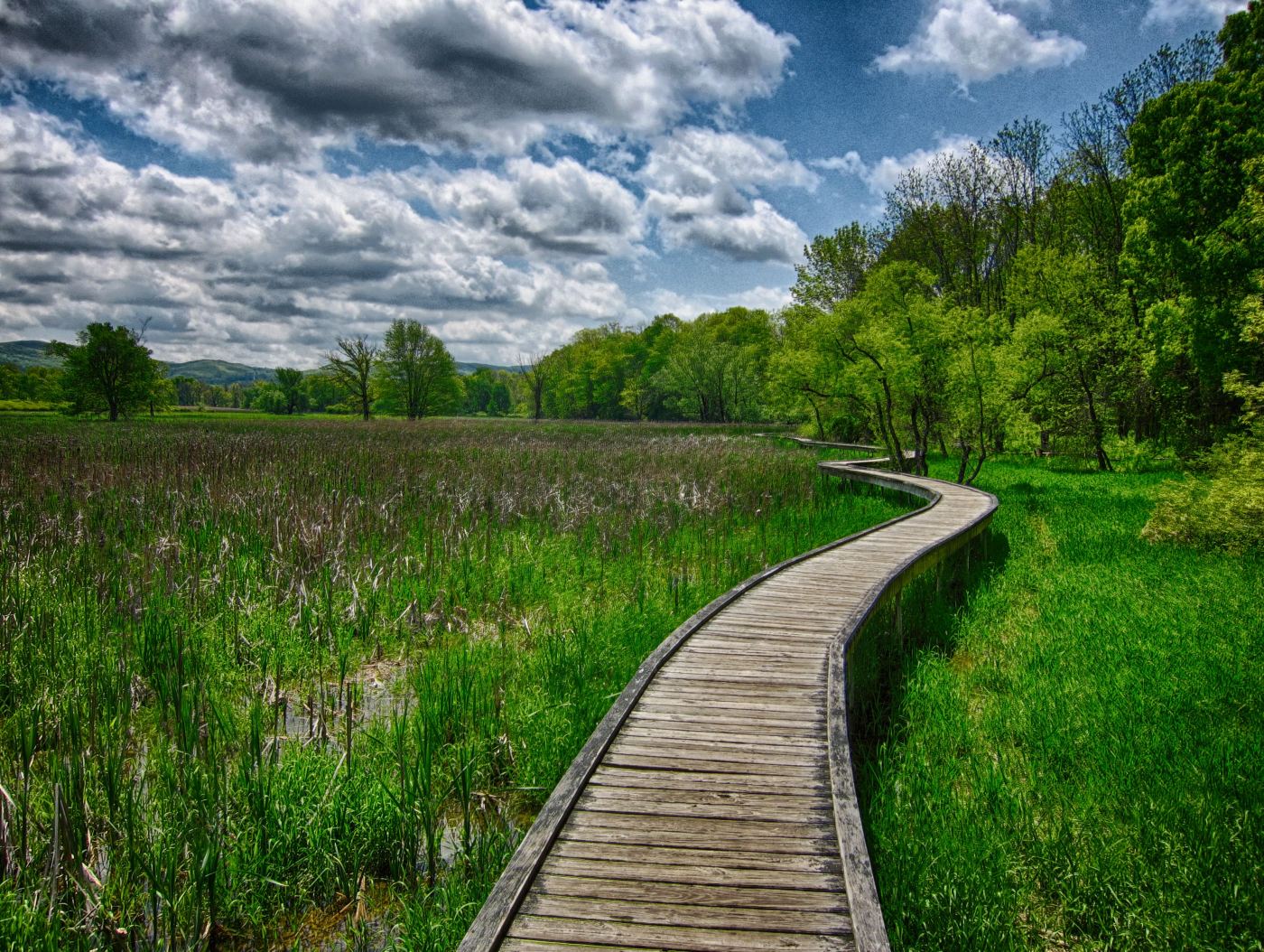 Check out N.J.: Uncover the journey gems tucked away from nook to nook
