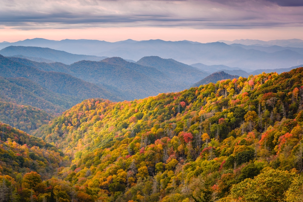 7 Best Nationwide Parks To Go to This Slide (2021)